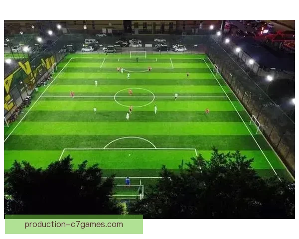 北京足球联赛参赛球队全景解析与赛季展望指南